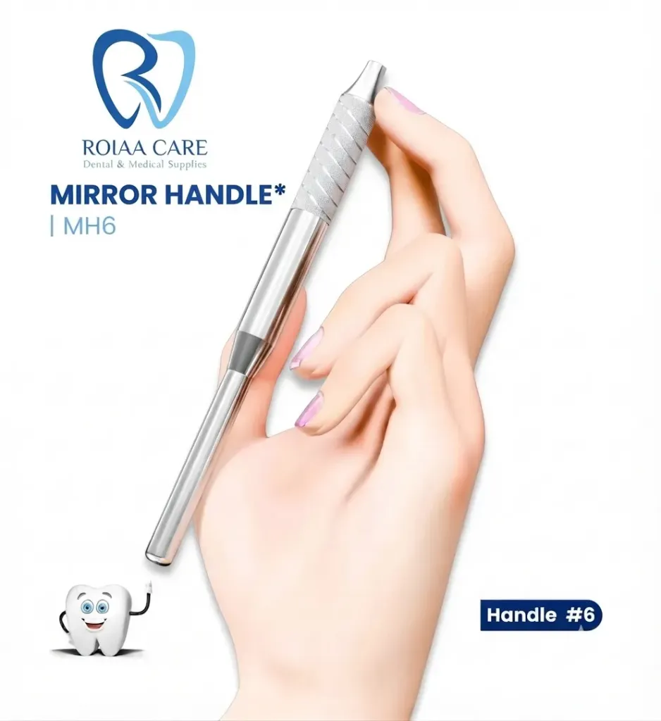[INSTRO-30218] Mirror Handle
